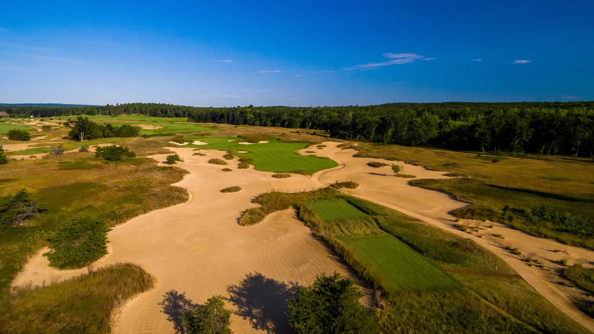 Forest Dunes